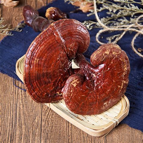 Ganoderma Lingzhi,Red Reishi.